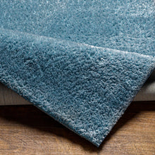 Load image into Gallery viewer, Heavenly Solid Blue Plush Rug