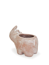 Load image into Gallery viewer, Terracotta Pot - Rhino
