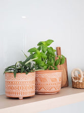 Load image into Gallery viewer, Hand Etched Terracotta Pot - Small
