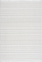 Load image into Gallery viewer, Cira Ivory Textured Area Rug with Fringes

