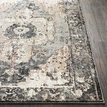 Load image into Gallery viewer, Newalla Area Rug

